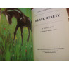 Anna Sewel - Black beauty