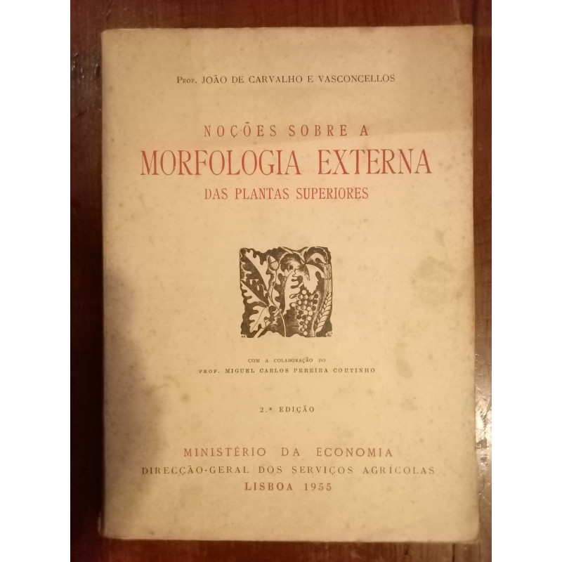 Noções sobre a Morfologia externa das plantas superiores