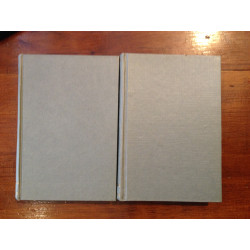 Ramiro da Fonseca - Mãe e filho (2 vols.)