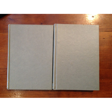 Ramiro da Fonseca - Mãe e filho (2 vols.)