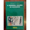 António S. Viana - A primeira coluna de Napainor