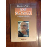 Horácio Costa - José Saramago, o período formativo