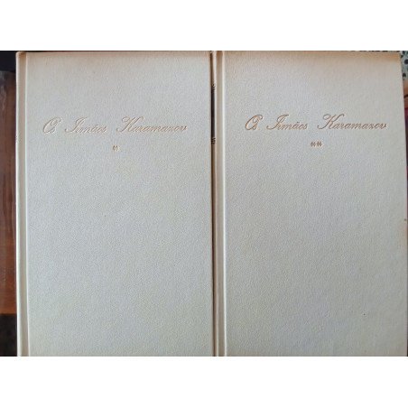 Dostoievski - Os irmãos Karamazov (2 vols.)