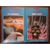 Ray Bradbury - Muito depois da meia-noite (2 vols.)