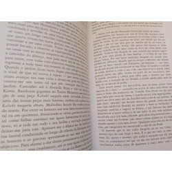 Arthur Golden - Memórias de uma Gueixa