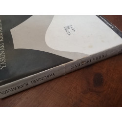 Yasunari Kawabata - Terra de neve