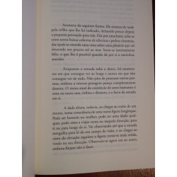 Damon Galgut - Um quarto desconhecido