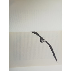 Richard Bach - A história de Fernão Capelo Gaivota