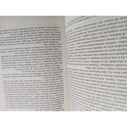 Salman Rushdie - Os versículos satânicos