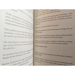 Etel Adnan - Afluência