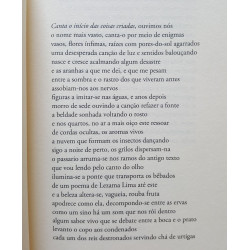 Diogo Vaz Pinto - Aurora para os cegos da noite