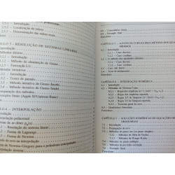 Cálculo Numérico, Aspectos teóricos e computacionais