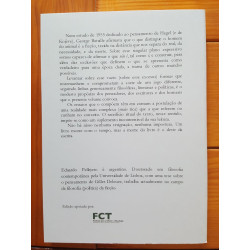 Eduardo Pellejero - A postulação da realidade