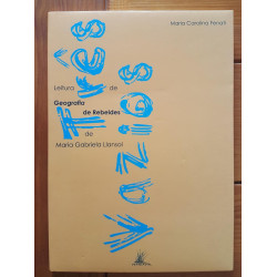 Maria Carolina Fenati - Três vazios, leitura de "Geografia de rebeldes" de Maria Gabriela Llansol.
