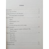 Maria Carolina Fenati - Três vazios, leitura de "Geografia de rebeldes" de Maria Gabriela Llansol.