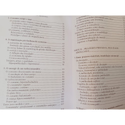 A Felicidade Paradoxal - Gilles Lipovetsky