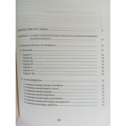 O labirinto da inteligência - Daniel Dubois