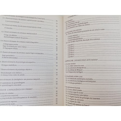 O labirinto da inteligência - Daniel Dubois