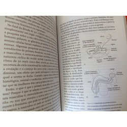 A história da V - Catherine Blackledge