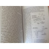 A história da V - Catherine Blackledge