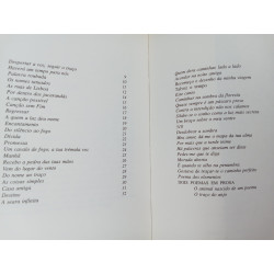 O traço do anjo - Maria João Cantinho