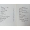 O traço do anjo - Maria João Cantinho
