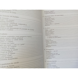 Matemática ou mesas, cadeiras e canecas de cerveja - Natália Bebiano da Providência