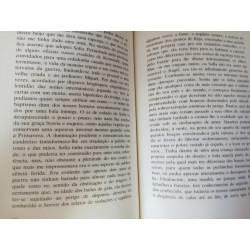 Marguerite Yourcenar - O golpe de Misericórdia
