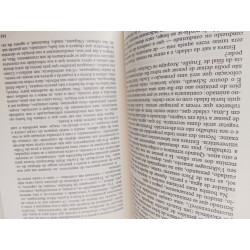 A Tia Júlia e o Escrevedor - Mario Vargas Llosa