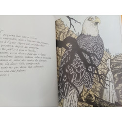 Não há longe nem distância - Richard Bach