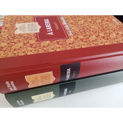 À Lareira (2 vols.) - José Viale Moutinho