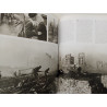 Photo Journalism - Nick Yapp e Amanda Hopkinson