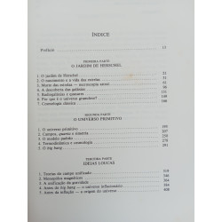 Simetria perfeita - Heinz R. Pagels