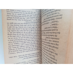 The Storyteller - Alan Sillitoe