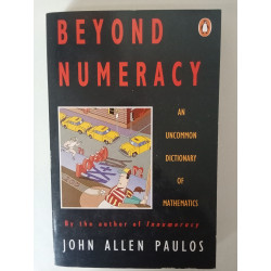 Beyond Numeracy - John Allen Paulos