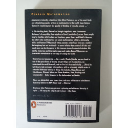 Beyond Numeracy - John Allen Paulos