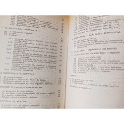 Leitura do texto Literário - Umberto Eco