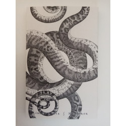 Língua de Víbora - Enrique Lihn