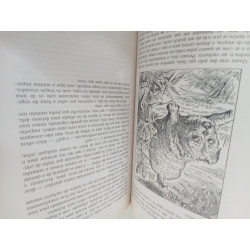 Aventuras de Alice no País das Maravilhas - Lewis Carroll