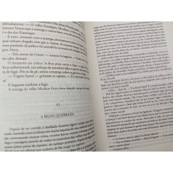 Nossa Senhora de Paris - Victor Hugo