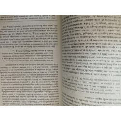 Escritas Afrodescendentes: Estudos, entrevistas e testemunhos