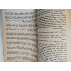 Os nossos filhos serão mutantes - Bob Stickgold e Mark Noble