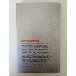 Notes of a Native Son - James Baldwin