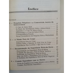 A vida depois da morte - D. Scott Rogo