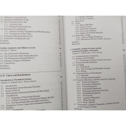 Introduction to Nonlinear Physics - Lui Lam (ed.)