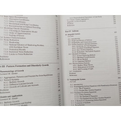 Introduction to Nonlinear Physics - Lui Lam (ed.)