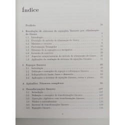 Álgebra Linear como introdução a Matemática Aplicada - Luís T. Magalhães
