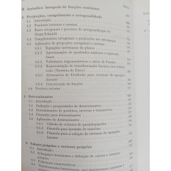Álgebra Linear como introdução a Matemática Aplicada - Luís T. Magalhães