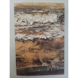 Gólgota - Miguel Marques Ribeiro