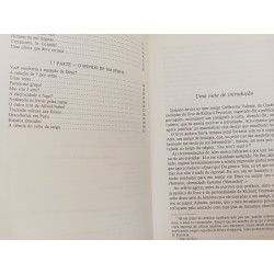 Está a brincar, Sr. Feynman - Richard P. Feynman